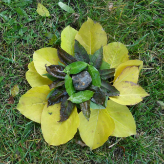 profa-2012-landart-6 Montessori-Schulzentrum Leipzig - Neuigkeiten Oberschule - Unterricht mal anders – Projektfahrt nach Gallentin